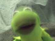 Kermit has a Meltdown