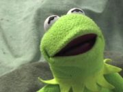 Kermit has a Meltdown