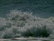 Waves Compilation