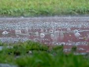 Slow Motion Rain