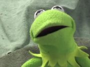 Kermit has a Meltdown
