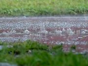 Slow Motion Rain