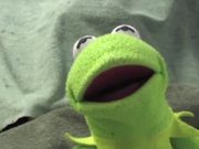 Kermit has a Meltdown