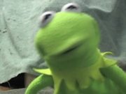 Kermit has a Meltdown