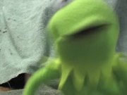 Kermit has a Meltdown