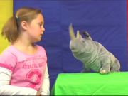 Ad Guys Episode Three