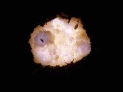 Spectacular Fiery Explosion