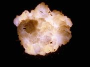 Spectacular Fiery Explosion