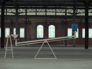 Samsonite Campaign: Chicken