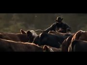 Courtyard Campaign: Cattle Driver