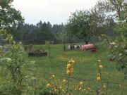 Gansbach, Lower Austria