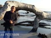 How to Avoid Predictability when Shooting Patterns