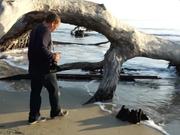 How to Avoid Predictability when Shooting Patterns