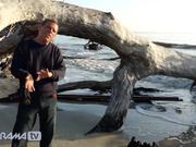 How to Avoid Predictability when Shooting Patterns