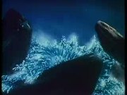 Superman: Eleventh Hour