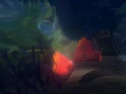 California Reflection