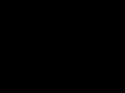 Prison Break - Venganza