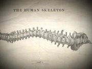 Bones TV Series Trailer