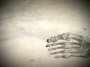 Bones TV Series Trailer