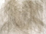 Three Wanderers (2007)