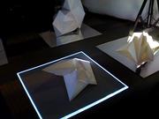 Anamorphic Architecture