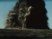 Big Underground Explosion 03