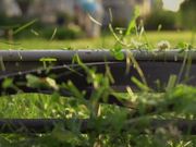 Lawn Mowing in Macro