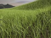 Fleeting Animation - 3