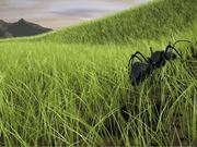 Fleeting Animation - 3