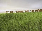 Fleeting Animation - 3