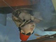 Stingray.36. Eastern Eclipse