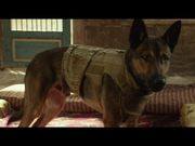 Max - Official Trailer