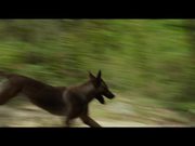 Max - Official Trailer