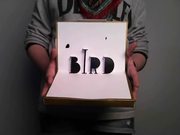 Bird - Augmented Reality
