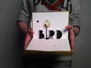 Bird - Augmented Reality