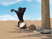 Monkey and the Coconut