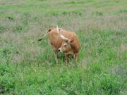 SpaceMonkey // 3D Animation