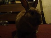 Derby's First Video