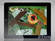 App Specific Orientation - Berry Forest