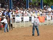 Arcadia Rodeo