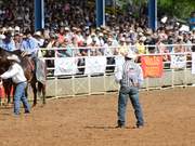 Arcadia Rodeo
