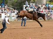 Arcadia Rodeo