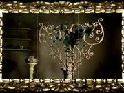 Phenomena Store Reel