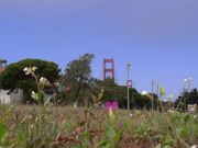 Cyark Technology Mini-Doc