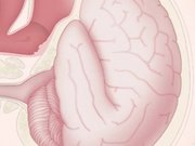 NeuroSave Technology Overview