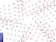 Shadow Self tech demo