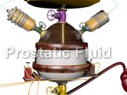 The Man Junk Project