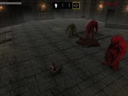 Survival Amazon Gameplay