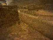 Nuclear Dawn Trailer