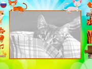 Kittens Puzzles